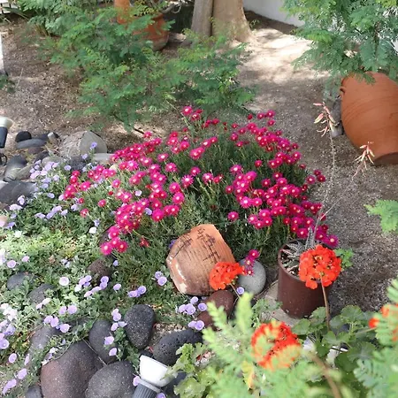 Hotel Spiros & Hiroko - Adults Only