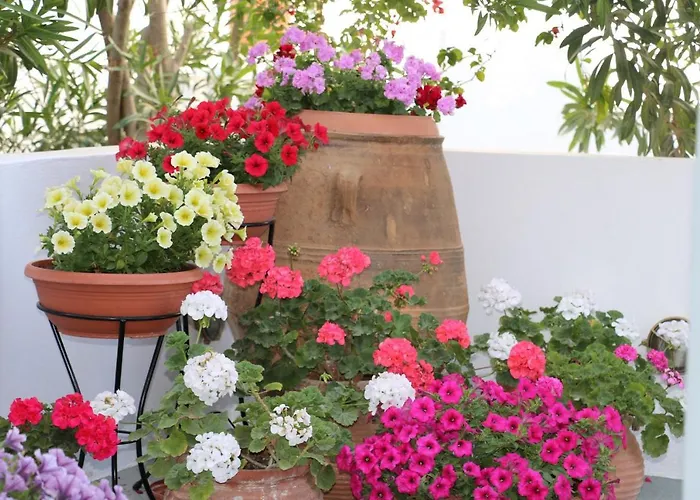 Spiros & Hiroko - Adults Only Hotel Perissa (Santorini)