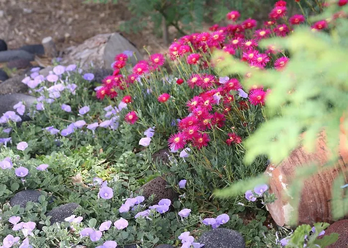 Hotel Spiros & Hiroko - Adults Only 2*