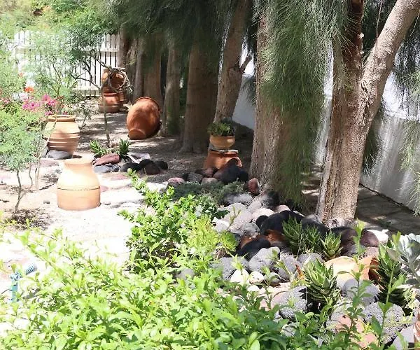 Spiros & Hiroko - Adults Only 2*