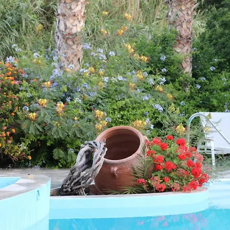 Spiros & Hiroko - Adults Only 2*