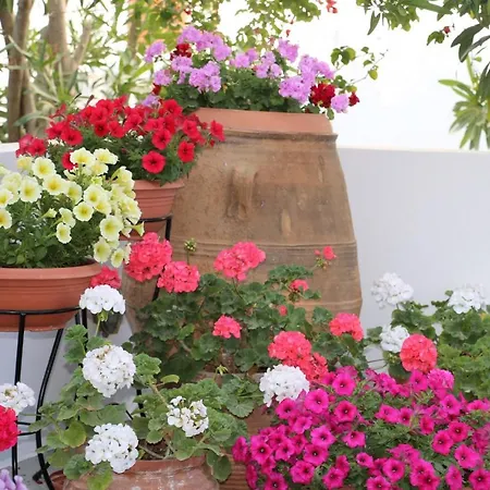 Spiros & Hiroko - Adults Only Hotel Perissa (Santorini)