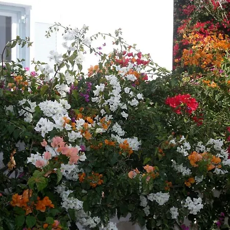 Spiros & Hiroko - Adults Only Hotel