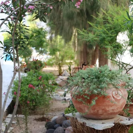 Spiros & Hiroko - Adults Only Hotel