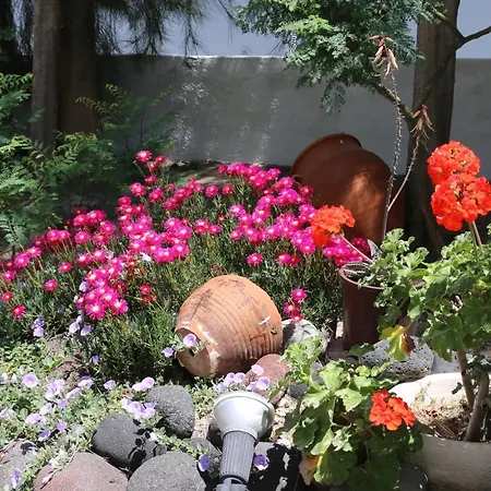 Hotel Spiros & Hiroko - Adults Only 2*