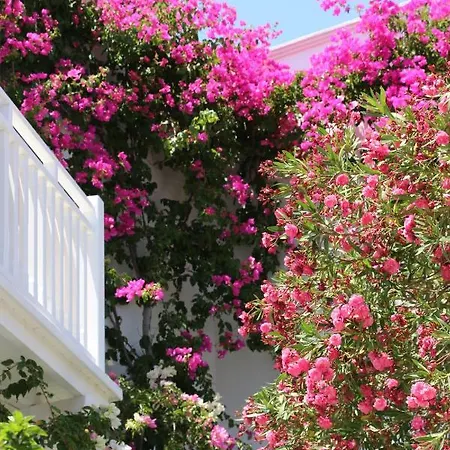 Spiros & Hiroko - Adults Only Hotel