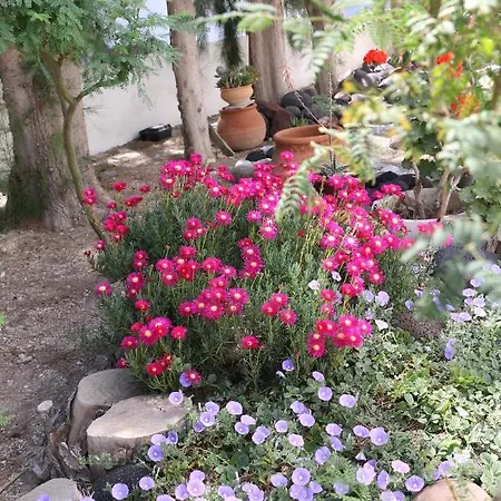 Spiros & Hiroko - Adults Only 2*