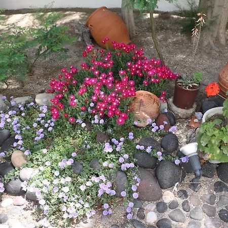 Spiros & Hiroko - Adults Only Hotel 2*