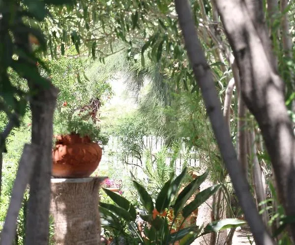 Hotel Spiros & Hiroko - Adults Only