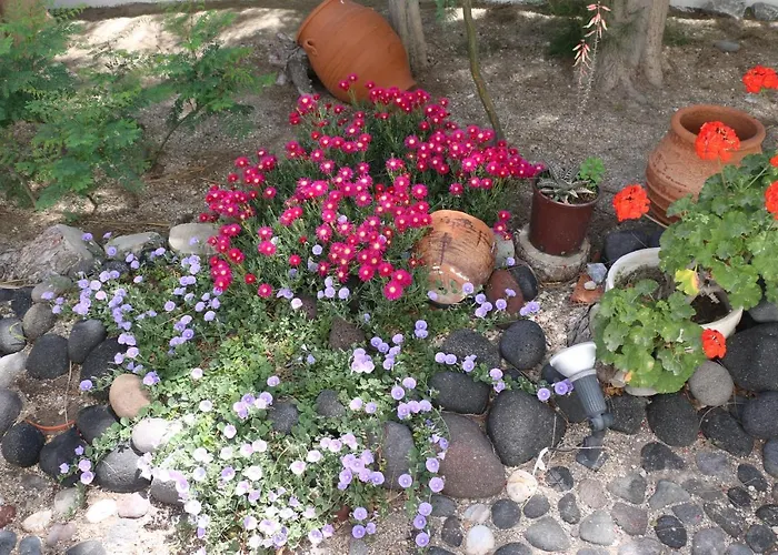 Hotel Spiros & Hiroko - Adults Only