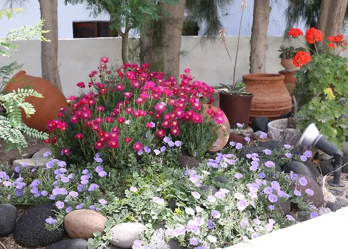 Spiros & Hiroko - Adults Only