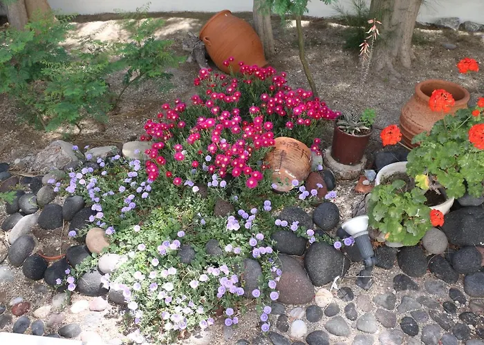 Spiros & Hiroko - Adults Only Hotel 2*