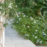 Ξενοδοχείο Spiros & Hiroko - Adults Only