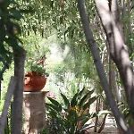 Hotel Spiros & Hiroko - Adults Only