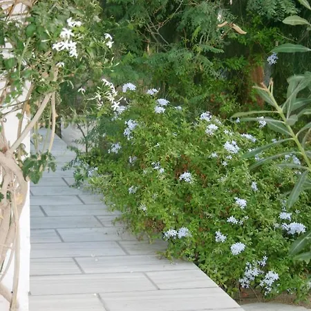 Hotel Spiros & Hiroko - Adults Only