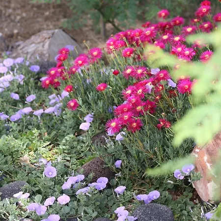 Hotel Spiros & Hiroko - Adults Only 2*