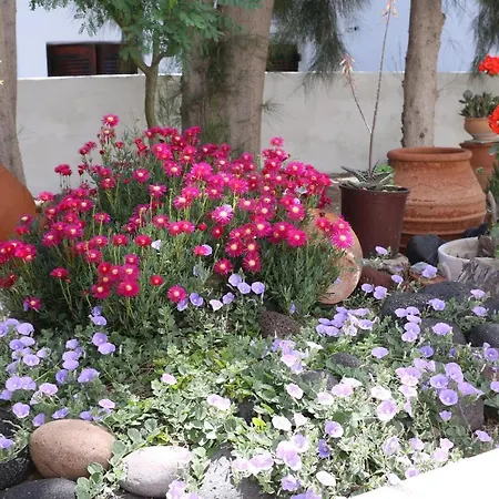 Spiros & Hiroko - Adults Only