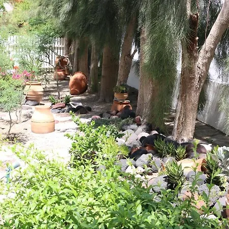 Spiros & Hiroko - Adults Only 2*