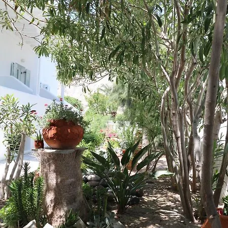 Spiros & Hiroko - Adults Only 2*