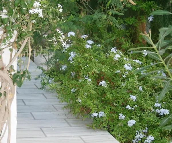 Hotell Spiros & Hiroko - Adults Only