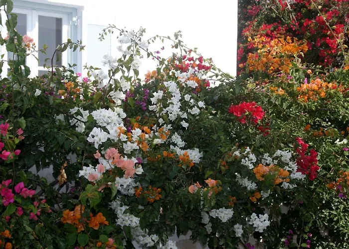 Spiros & Hiroko - Adults Only Hotell