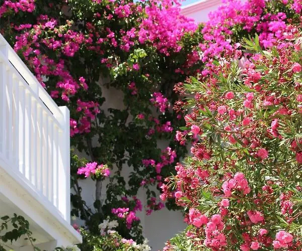 Spiros & Hiroko - Adults Only Hotell