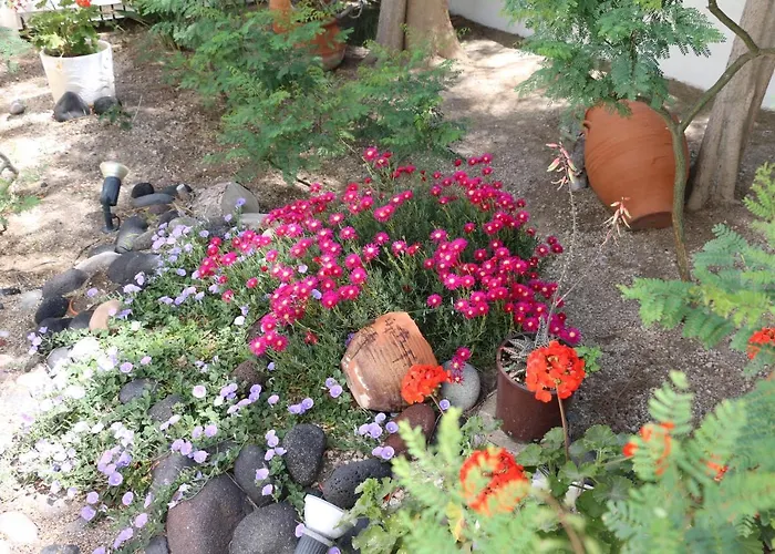 Hotell Spiros & Hiroko - Adults Only