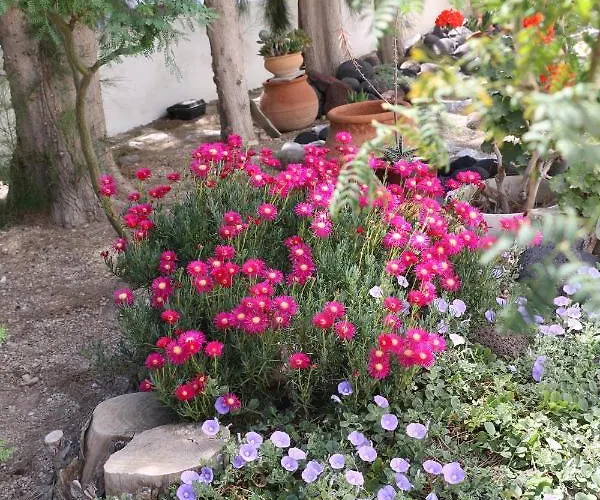 Spiros & Hiroko - Adults Only 2*