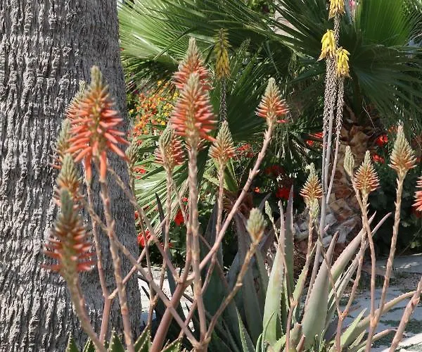 Spiros & Hiroko - Adults Only Hotell Perissa (Santorini)